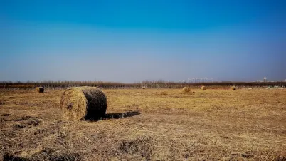 Kakadu Casino Mobile App